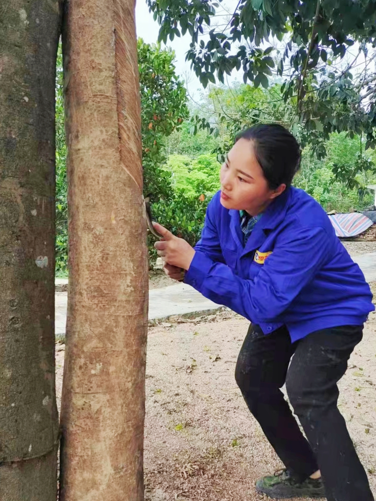 1700710150458054925.jpg 1700710150458054925.jpg