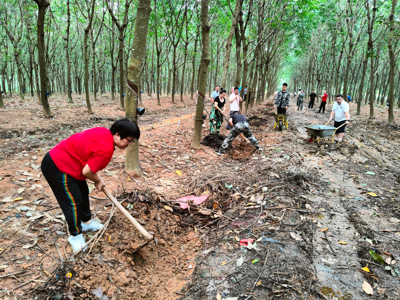 1704939509723057317.jpg 1704939509723057317.jpg