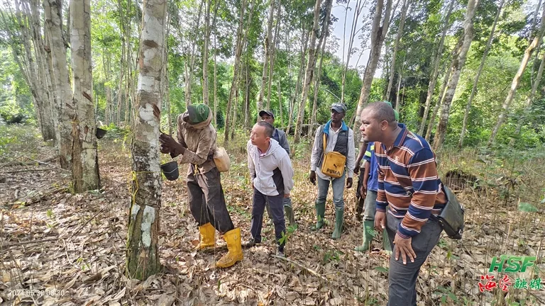 1721124465255049503.png 1721124465255049503.png