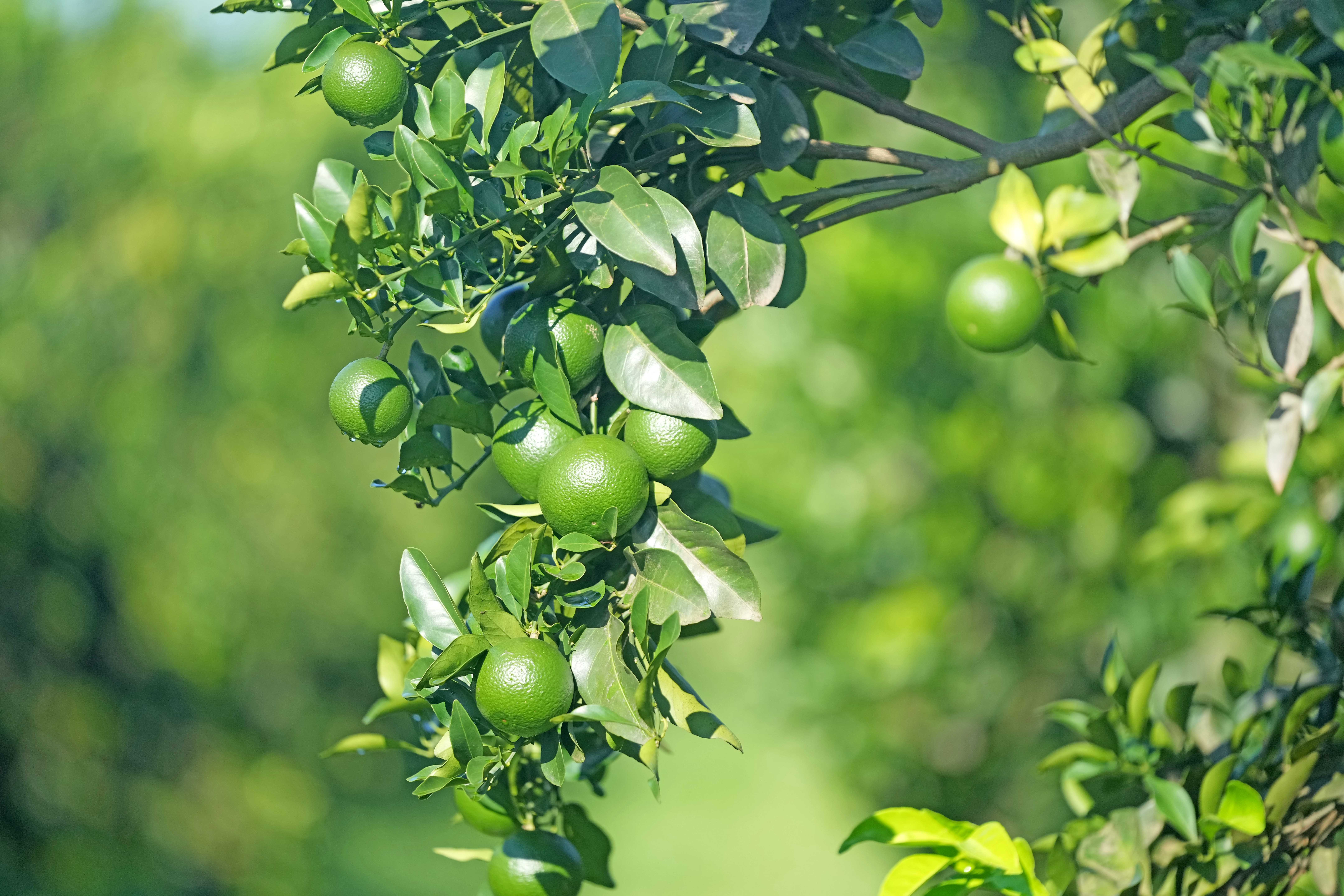 1721177838182006742.jpg 1721177838182006742.jpg