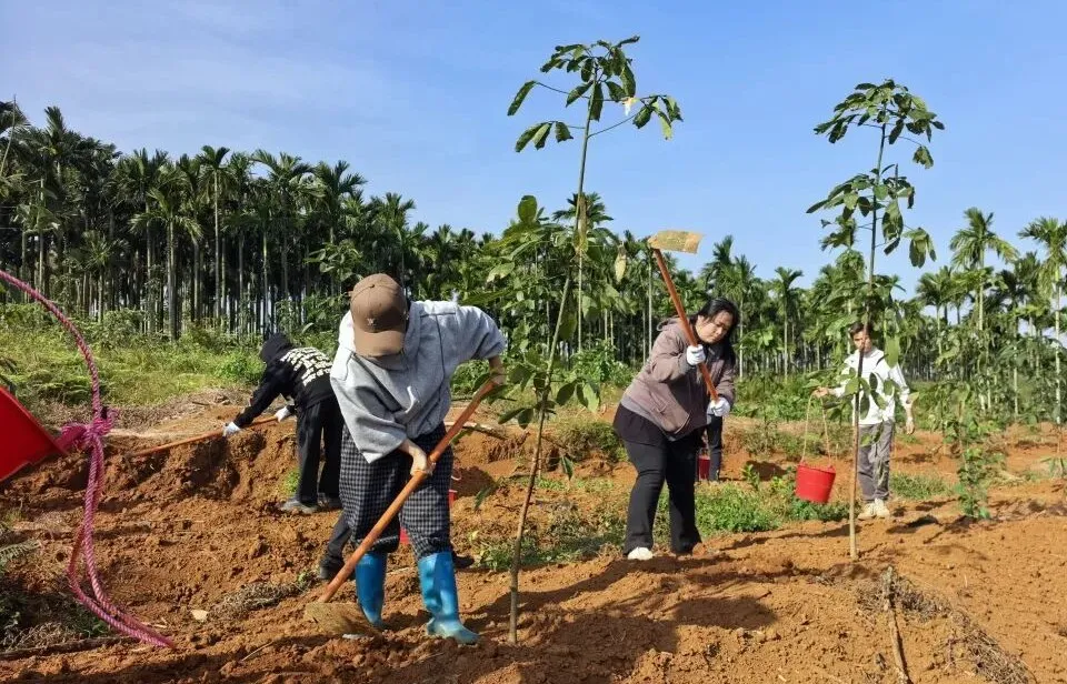 1765246123613001044.jpg 1765246123613001044.jpg