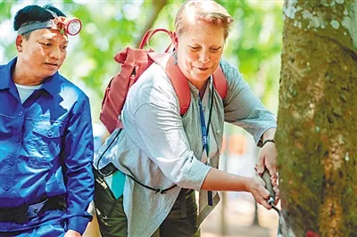 1768185047664005242.jpg 1768185047664005242.jpg